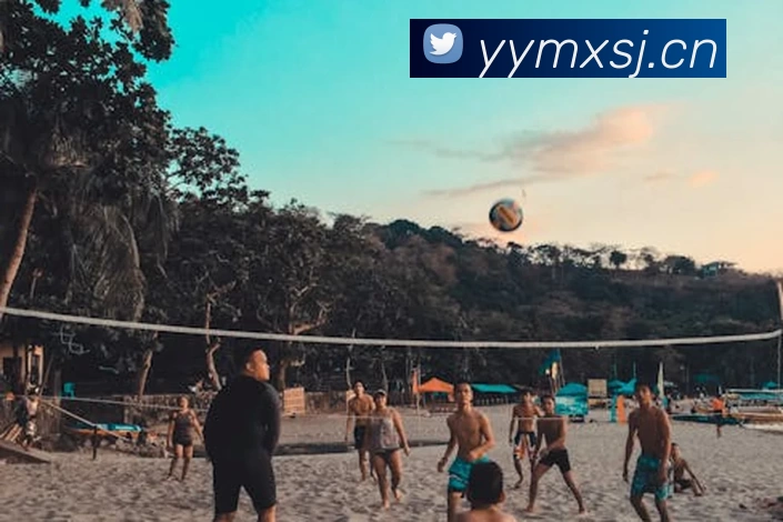 尊龙凯时人生就是搏(中国区)官方网站平台生态图